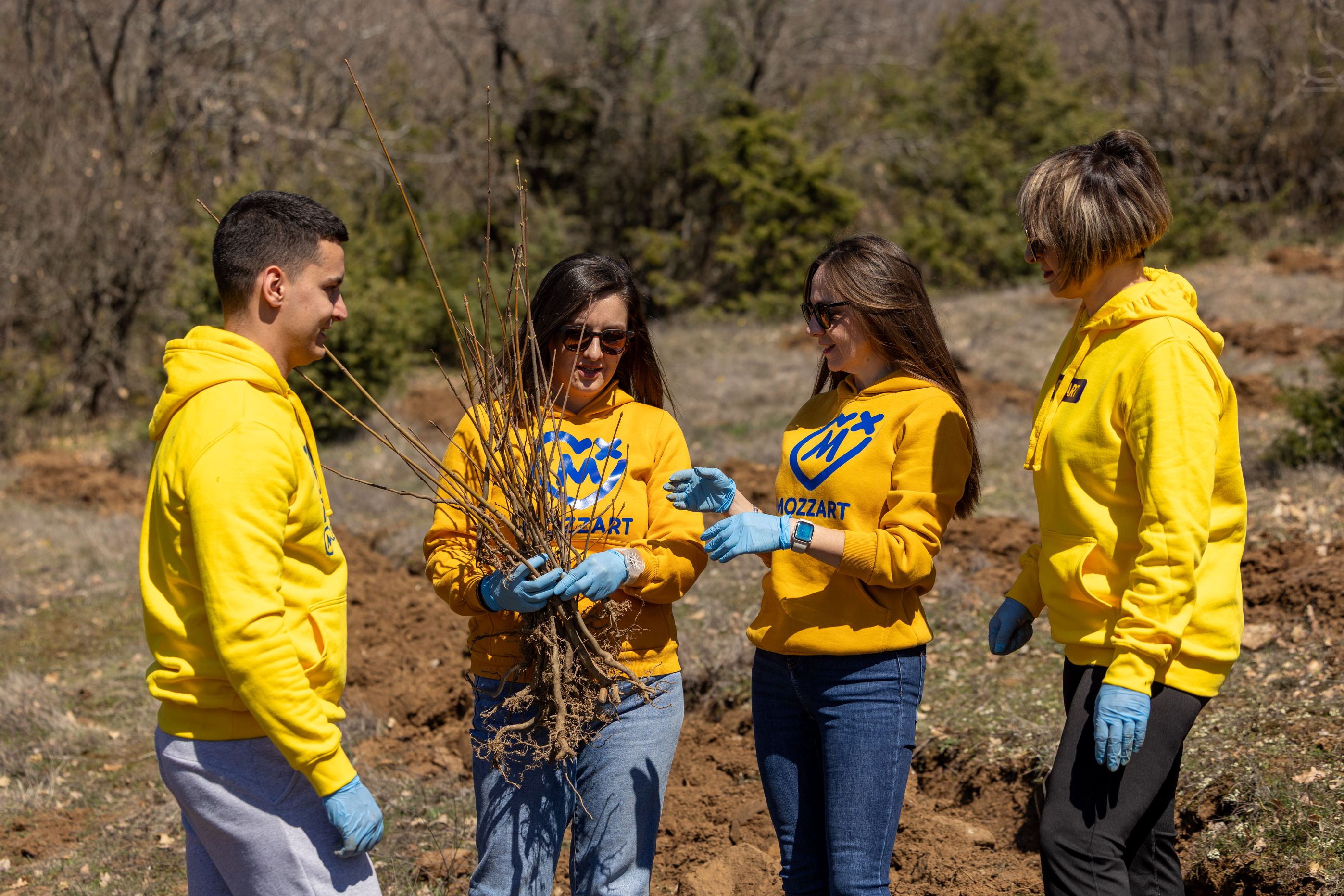 YouTube Video YouTube Video